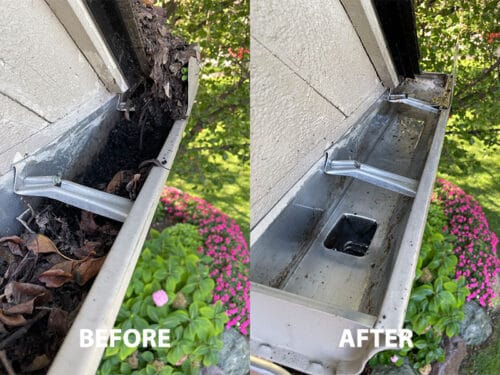 gutter cleaning image 4