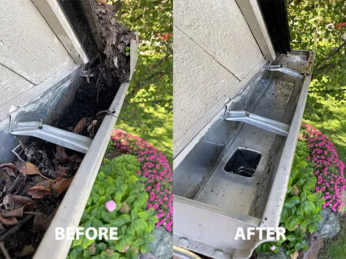 gutter cleaning image 4