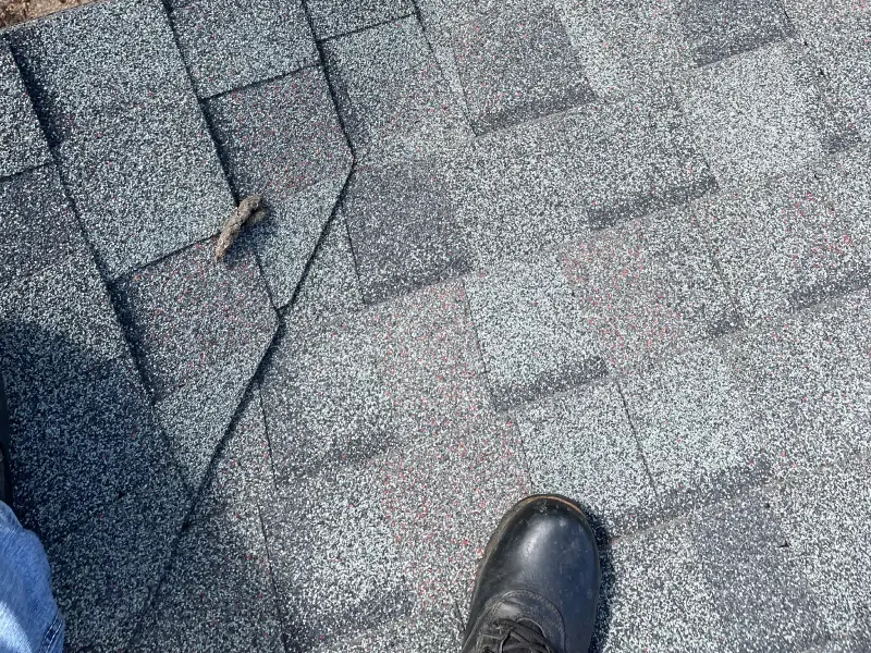 newly washed roof washington mi