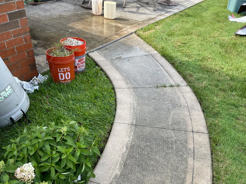 newly washed walkway washington mi