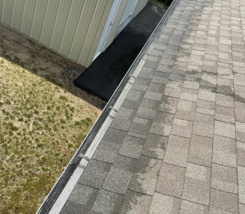 roof cleaning 1