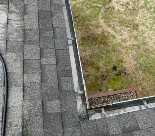 roof cleaning 2