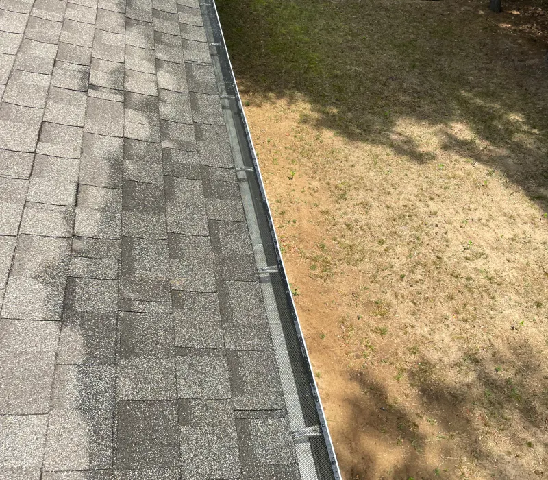 roof cleaning 5