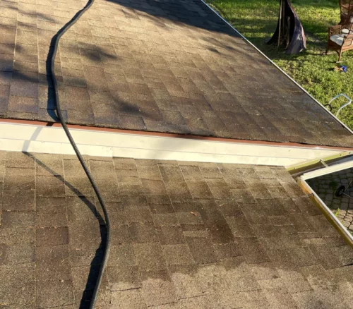 roof cleaning 6