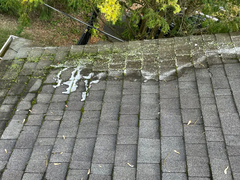 roof during washing washington mi