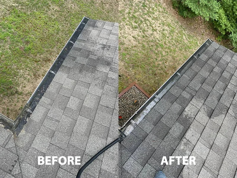 roof washing image 3